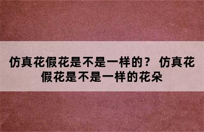 仿真花假花是不是一样的？ 仿真花假花是不是一样的花朵